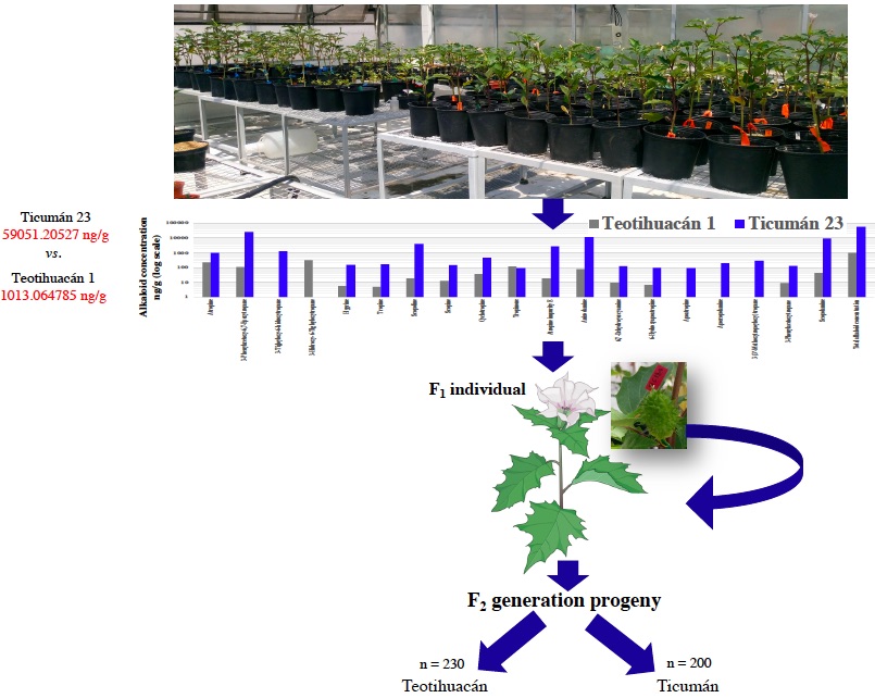 Quantitative genetics and genomics
